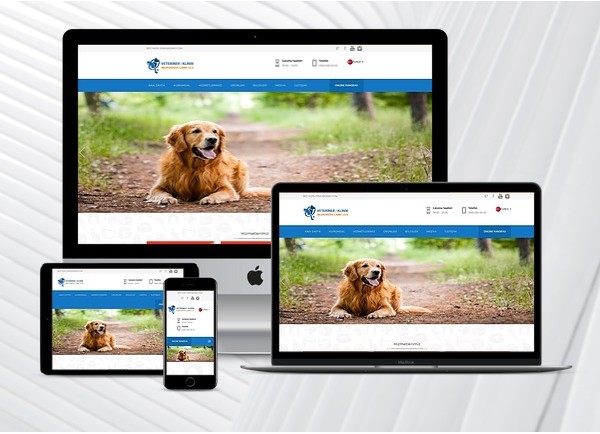 Hayvan Kliniği Web Sitesi Veteriner Klinik İnternet Sitesi Evcil Hayvan Sağlık Merkezi Hazır Web Paketi Teknovadi