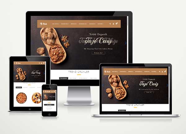 Kuruyemiş Online Satış Sitesi E-Ticaret Hazır Web Paketi cashew