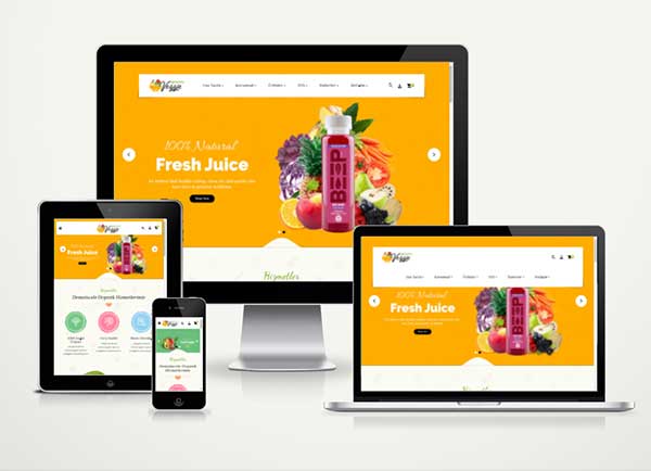 Doğal ürünler Online Satış Sitesi Köy Ürünleri E Ticaret Hazır Web Paket healthy